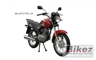 2013 Qingqi Buffalo QM125-10R photo